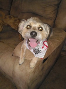 11920487_10153176030782903_1839940172_n