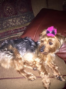 1558465_10152518764036618_1581959299355376829_n