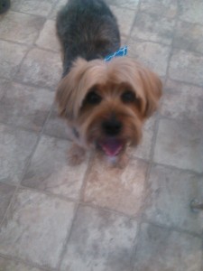 IMG_20150322_161656_232