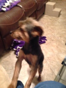 11100082_892502480772785_1641435416_n