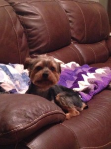 11158017_892502447439455_1065522460_n