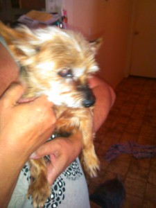 IMG_20150419_113825_165