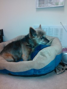 IMG_20150421_080056_092