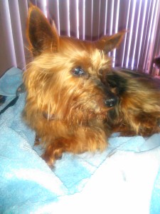 IMG_20150424_180633_497