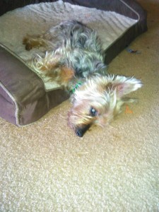 IMG_20150425_091358_639