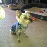 IMG_20150510_105324_281