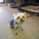 IMG_20150510_105331_630