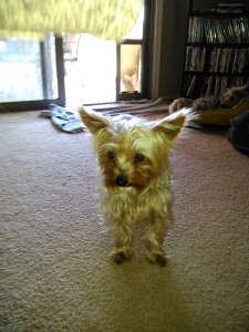 IMG_20150510_105733_164