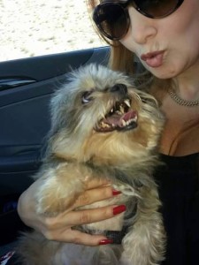 11830853_10153141702932903_1720085905_n