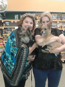 jay and jango home