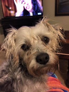 10463879_892995367487591_8179981812550543777_n