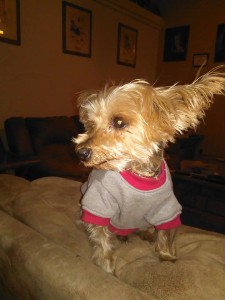 12435923_10153417712952903_523642982_n