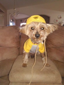 12483615_10153417711842903_1124277315_n