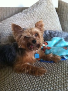 1234916_10151704989957903_1152945196_n