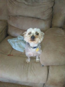 12467888_10153417713352903_1414838424_n