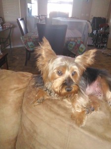 12468184_10153417712122903_1728349789_n