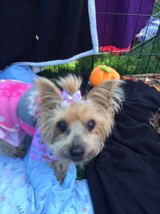 12714415_10205642391435490_1682622210_n