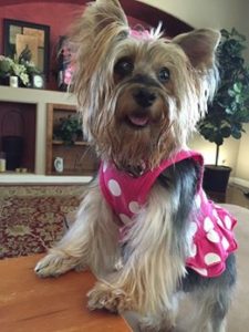 13413088_10207950513575047_1203538393979545618_n