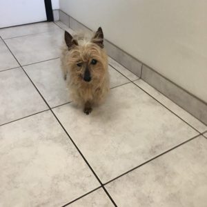 14699793_10154109704222903_180298550_n