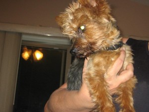 522126_10150715525292903_1359562316_n