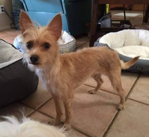 13937038_10153934824457903_598210570_n