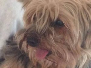 13942480_10153934823702903_1540596270_n