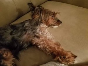 14009812_10153934824092903_365229643_n