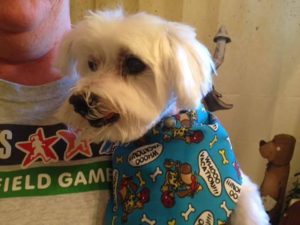 14018162_10153934823992903_753785576_n