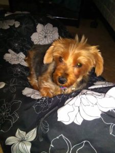 13281896_10153744513212903_1033398102_n