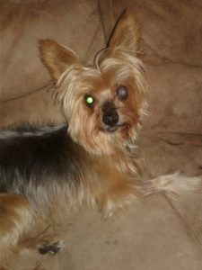 13903292_10153920484262903_4572985914751515092_n