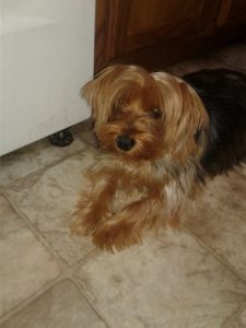 14694895_10154108429867903_1901622104_n