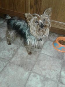 14741213_10154108429882903_1786293791_n