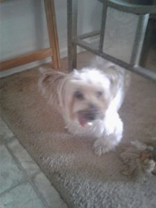 14793842_10154125858807903_581042987_n