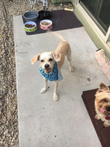 14958633_10154168462127903_191982253_n