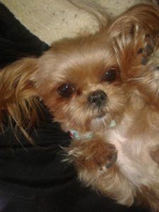 15328377_10154264797917903_505997525_n