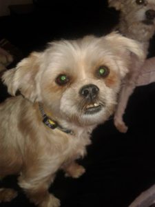 15328414_10154264797802903_1111565093_n