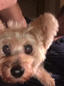 15401419_10154284979442903_936520789_n